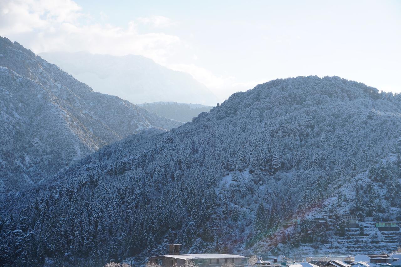 Ess & Bee Resorts Dharamszala Kültér fotó